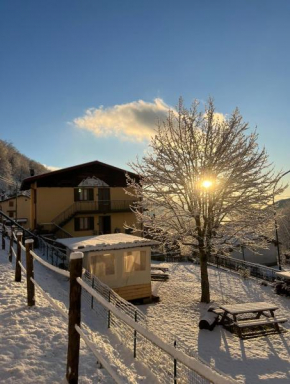 La tana dello Zio Sam Apt Forest